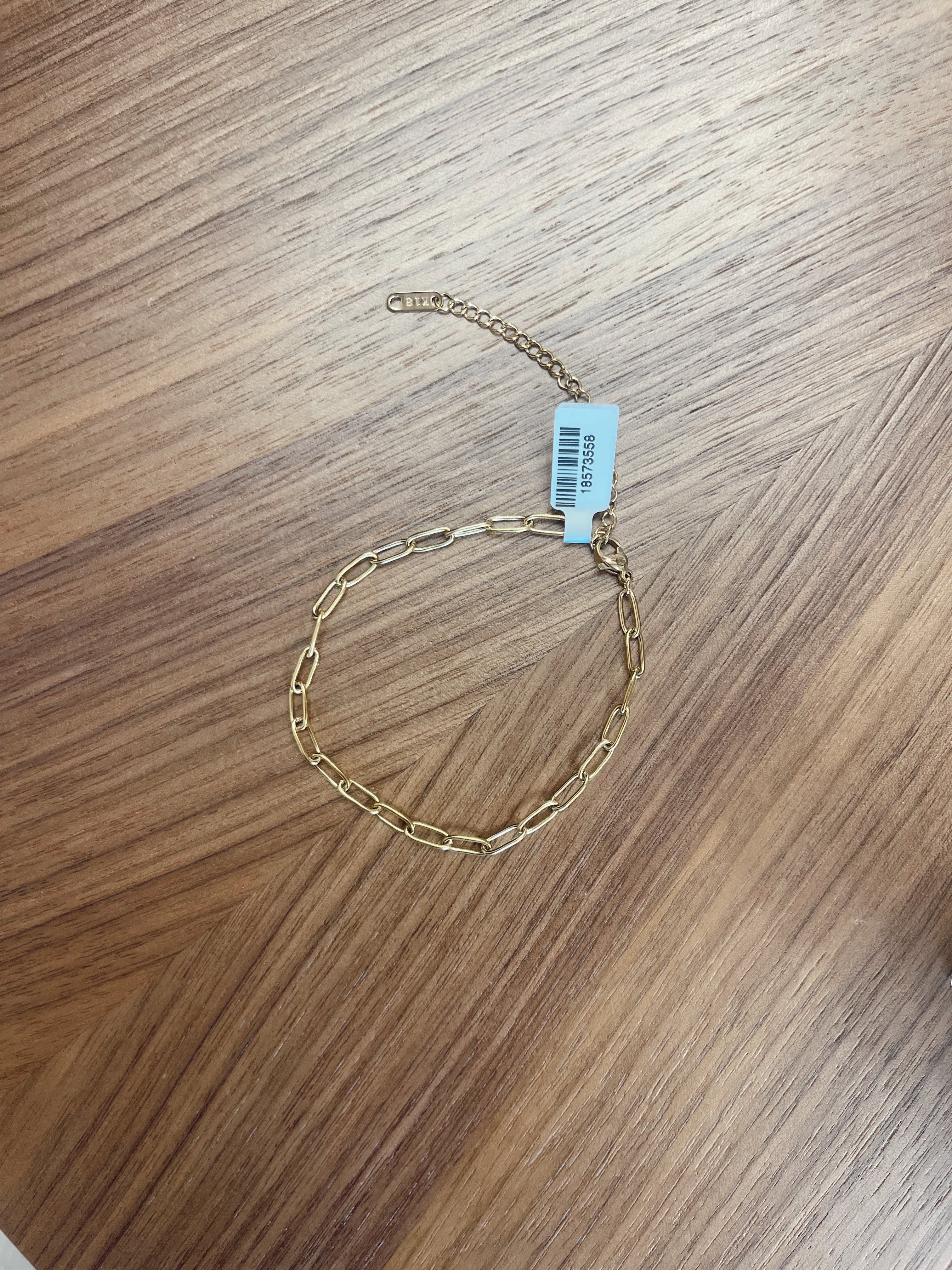 PAPERCLIP ANKLET
